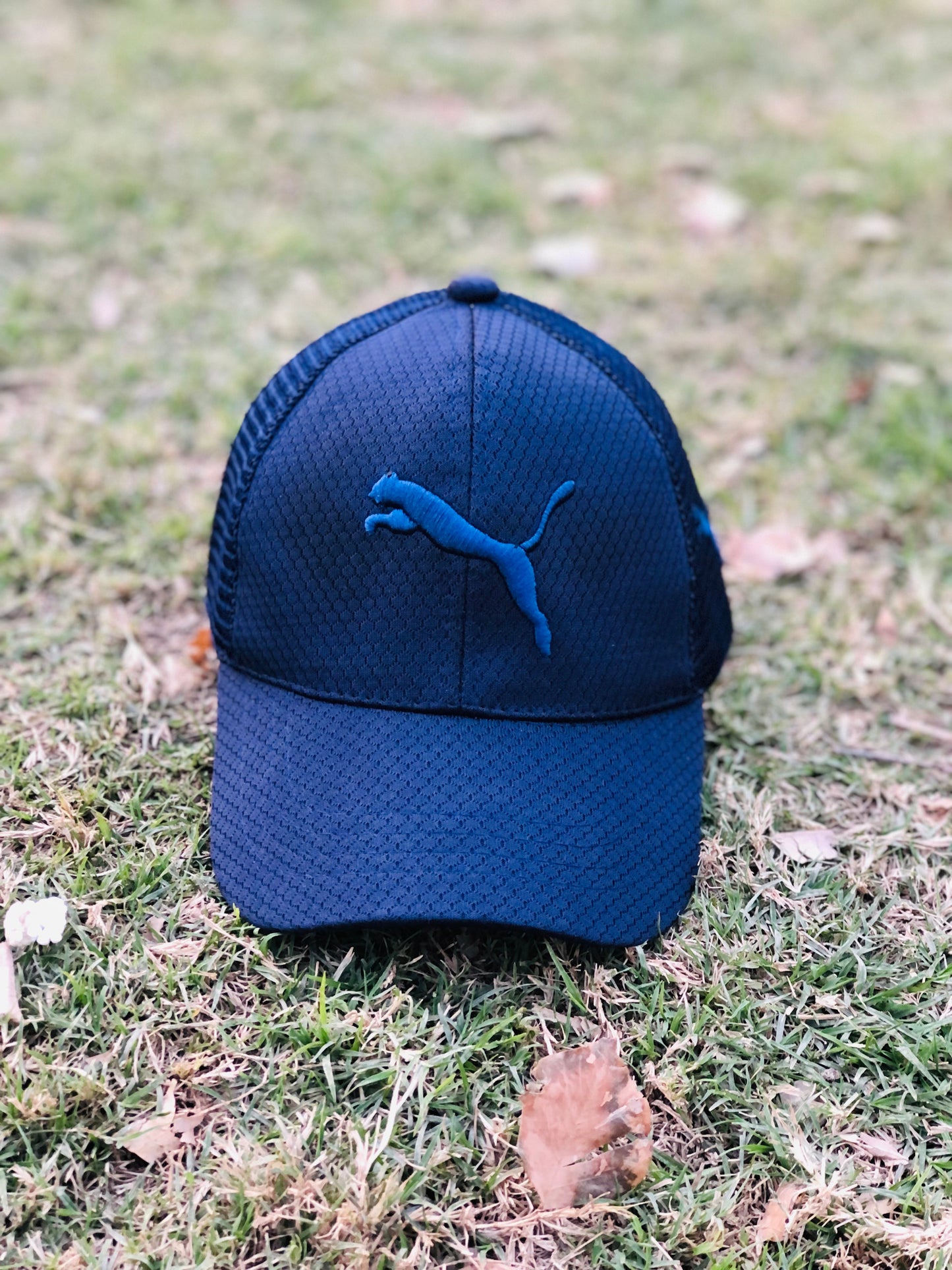 New Puma Blue Stylish Imported Net cap